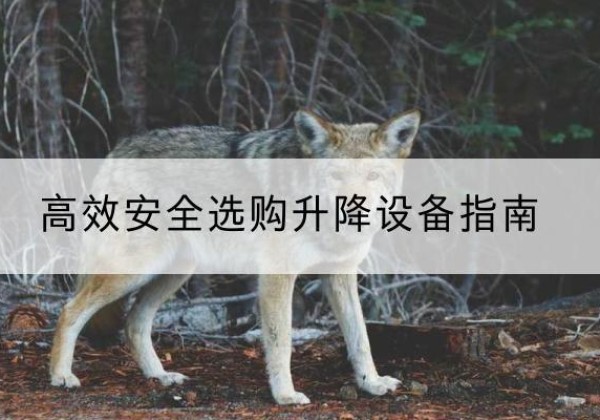 岳普湖升降货梯厂家推荐-*安全选购升降设备指南