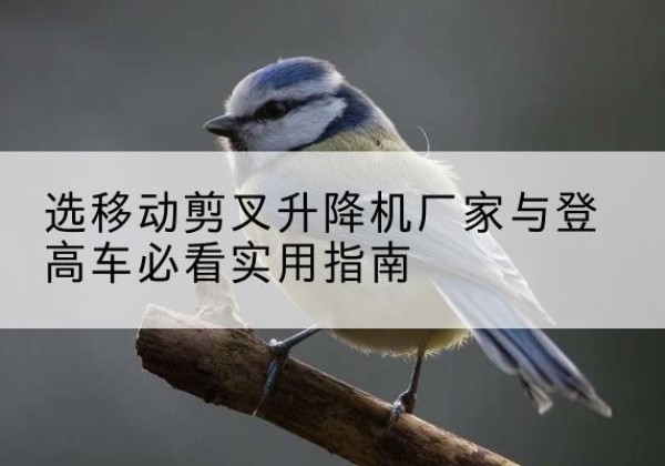 岳普湖电动升降机厂家-选移动剪叉升降机厂家与登高车必看实用指南