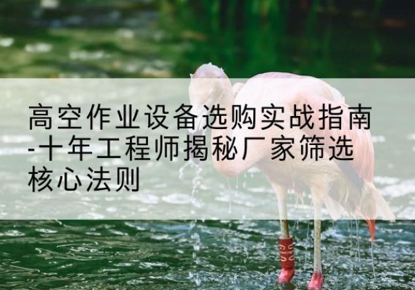 岳普湖剪叉式升降机厂家-高空作业设备选购实战指南-十年工程师揭秘厂家筛选核心法则